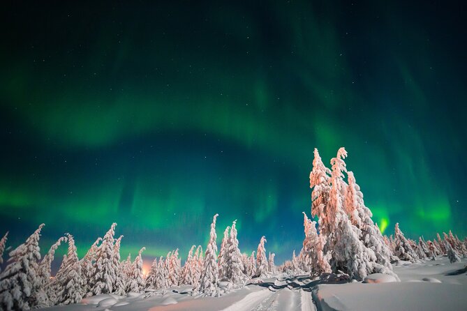 Northern Lights Hunting of Rovaniemi - Cold weather is the real test