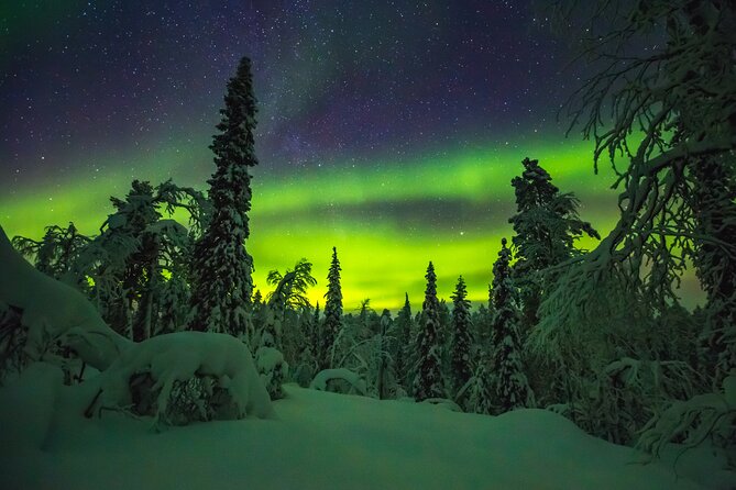 Northern Lights Hunting of Rovaniemi - Is $89.36 a fair price?