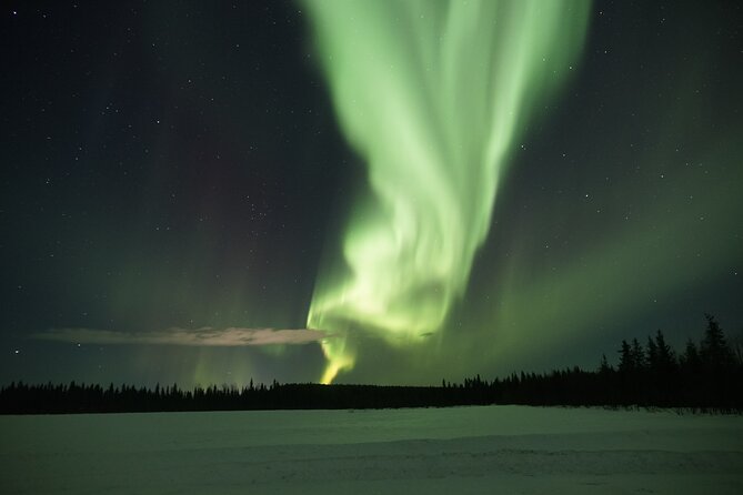Northern Lights Hunting Photo Tour in Levi - Weather, forecasts, and the rescheduling choice