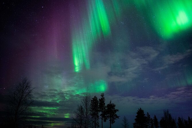 Northern Lights Hunting Photography Tour in Levi - The Levi briefing sets the night’s direction