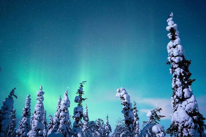 Northern Lights Hunting Photography Tour in Levi - When the lights appear