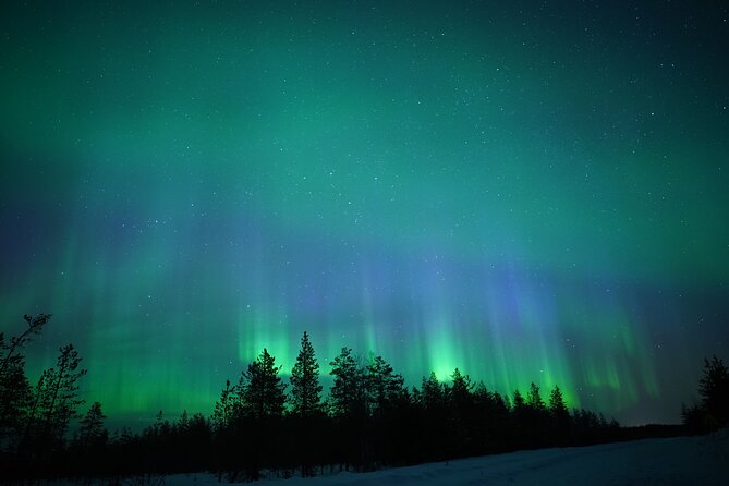 Northern Lights Hunting Photography Tour in Rovaniemi Finland - Key things to know before booking