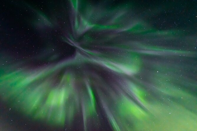 Northern Lights Hunting with a photographer (Only small groups) - Is $223.57 a fair price?