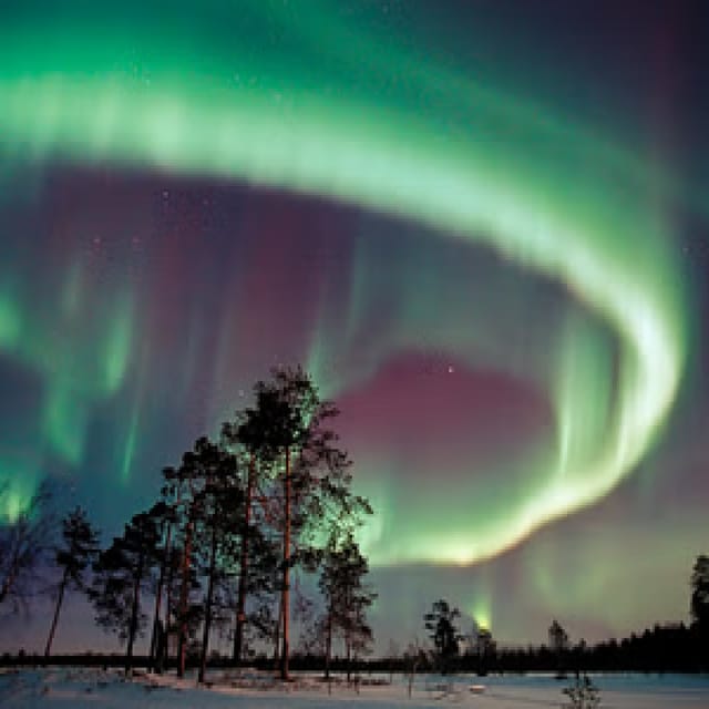 Northern Lights Hunting with Aurora Workshop - Who should book this Ivalo aurora tour