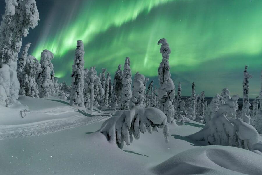 Northern Lights Hunting with Aurora Workshop - Using new camera skills beneath the aurora