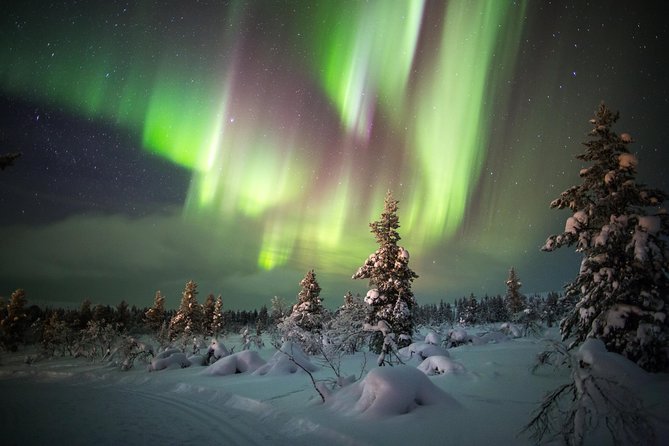 Northern Lights Hunting with Snowmobiles - Riding into Rovaniemi’s winter darkness