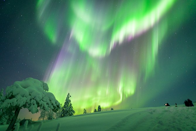 Northern Lights Photography Tour from Rovaniemi - A Northern Lights tour built around the camera