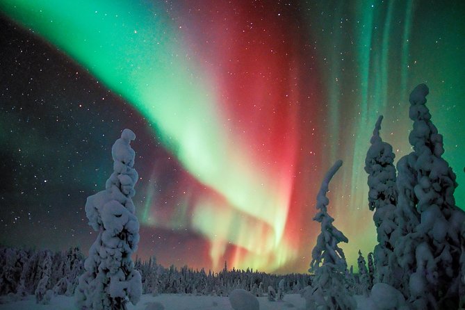 Northern Lights Photography Tour from Rovaniemi - Waiting by the fire with coffee and food