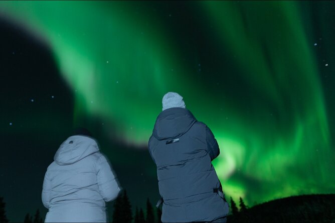 Northern Lights Rovaniemi: Guaranteed Tour with Local Guide - Key things to know