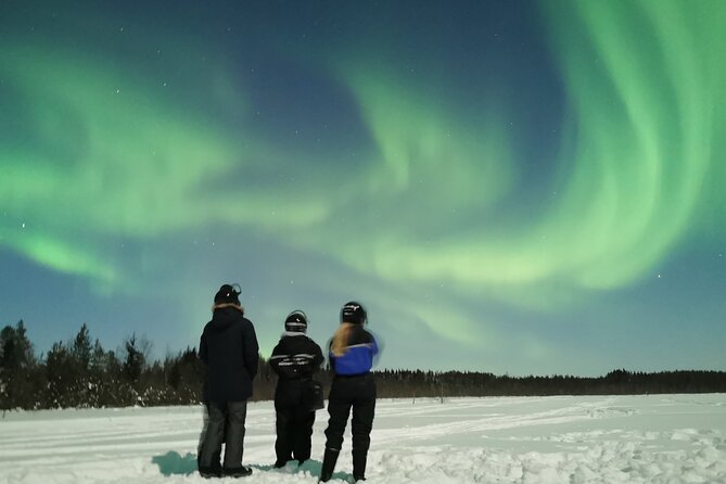 Northern Lights Sledge Ride - Campfire warmth and Aurora watching