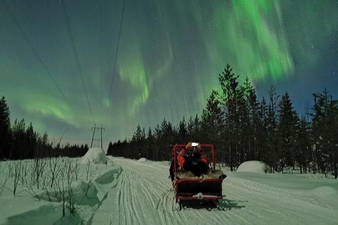 Northern Lights Sledge Ride - The Northern Lights question