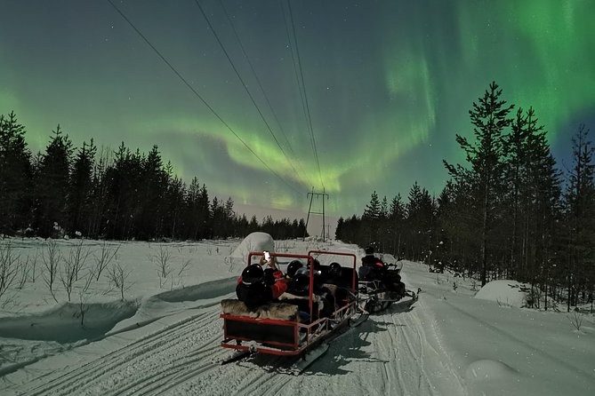 Northern Lights Sledge Ride - Is $92.52 a fair price?