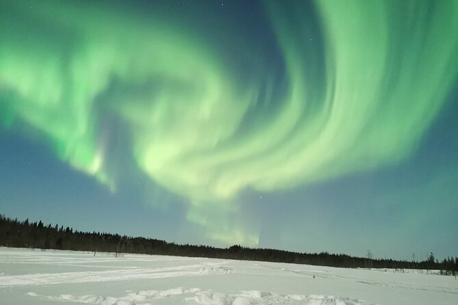 Northern Lights Sledge Ride - Who should book this experience?