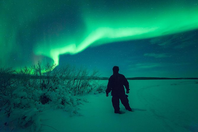 Northern Lights Snowmobile Safari from Rovaniemi with Campfire Picnic - A dark-forest ride from central Rovaniemi