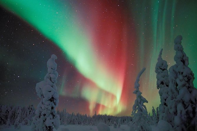 Northern Lights Snowmobile Safari from Rovaniemi with Campfire Picnic - Sausages, hot drinks, and a pause by the fire