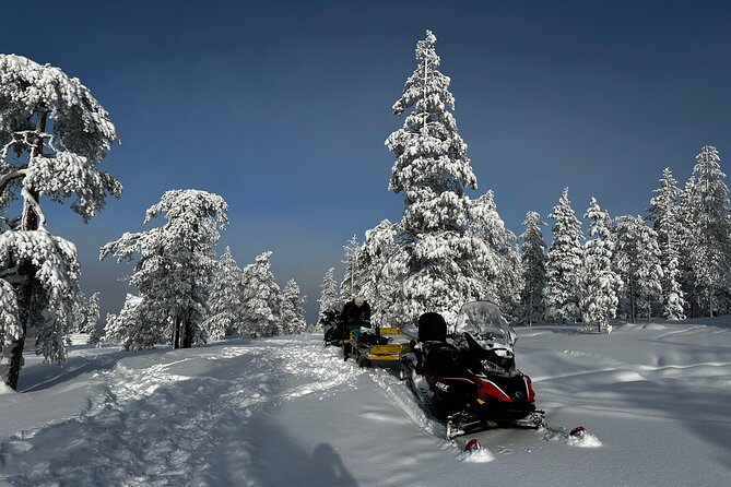 Northern Lights Tour Snowmobile Driving - A short ride into the Arctic night