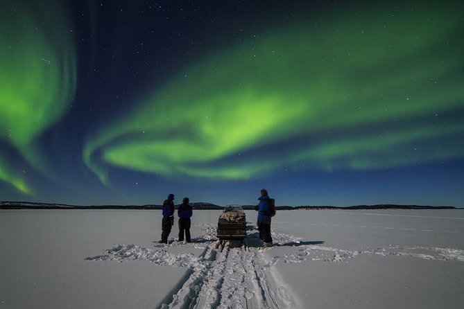 Northern lights tour to Lake Inari from Ivalo, Reindeers & Dinner - Why this Lake Inari aurora trip feels different