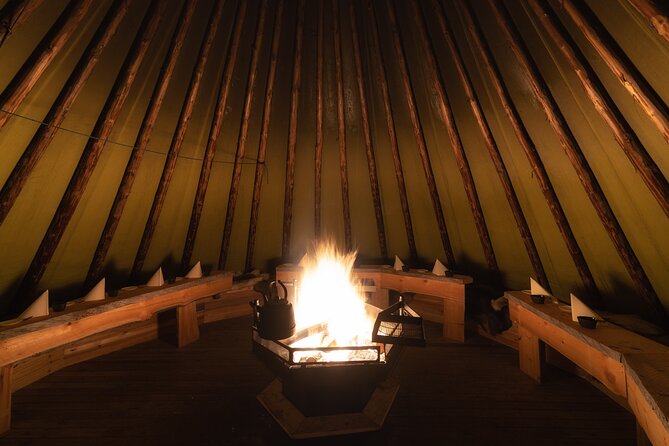Northern lights tour to Lake Inari from Ivalo, Reindeers & Dinner - Reindeer feeding, not a reindeer safari