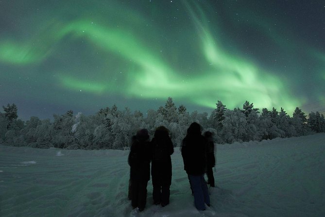 Northern Lights Tour with BBQ and drinks - Who should book this Rovaniemi aurora tour?
