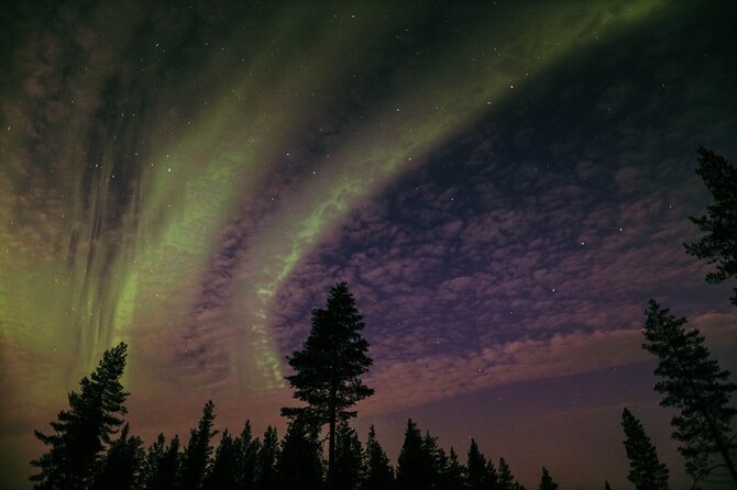 Northern Lights Tour with BBQ and drinks - Nordic myths and the science of the aurora