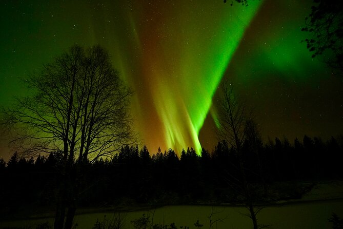 Northern Lights Trip to a Magical Place in Lapland - Pickup, timing, and booking details