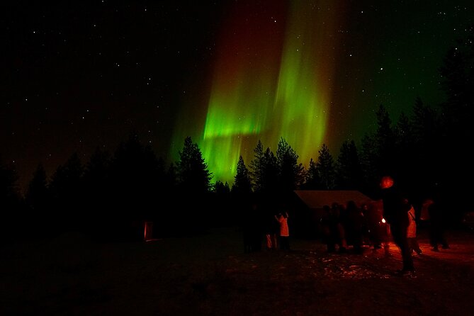 Northern Lights Trip to a Magical Place in Lapland - Who should book this Northern Lights tour?