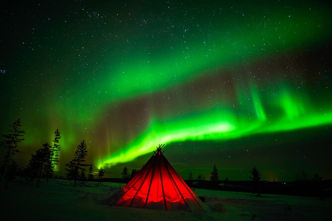 Northern Lights Wilderness Small-Group Tour from Rovaniemi - Photography: a valuable extra with limits