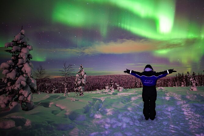 Northern Lights Wilderness Small-Group Tour from Rovaniemi - What happens at the fire