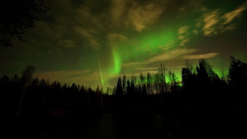 Oulu: Starguaranteed Northern Lights Mobile Chase - How the Aurora forecast claim should affect your decision