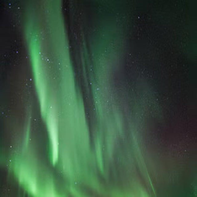 Polar Night Snowshoe Trek - Languages, flexibility, and cancellation