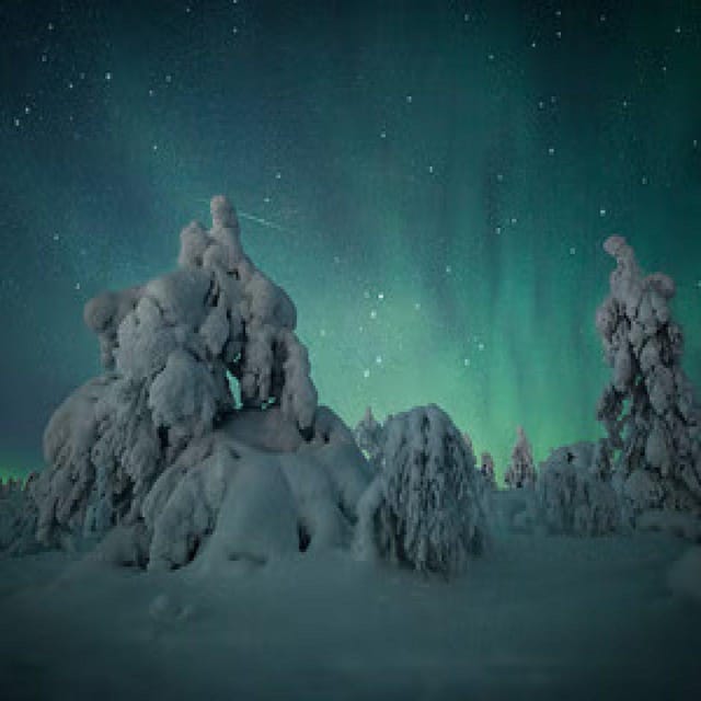 Polar Night Snowshoe Trek - Is Polar Night Snowshoe Trek worth booking?