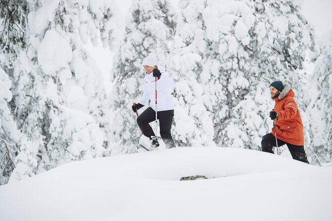 Premium Snowshoeing in Pyhä-Luosto National Park - Key points at a glance