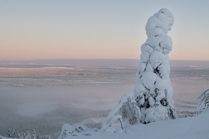Premium Snowshoeing in Pyhä-Luosto National Park - A Finnish pause beside the bonfire