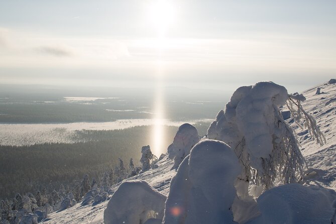 Premium Snowshoeing in Pyhä-Luosto National Park - What the guides add to the experience