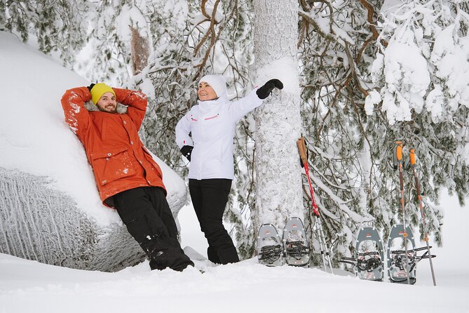 Premium Snowshoeing in Pyhä-Luosto National Park - Is the $215.39 price fair?