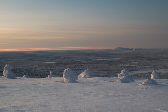 Premium Snowshoeing in Pyhä-Luosto National Park - Clothing, fitness, and winter comfort