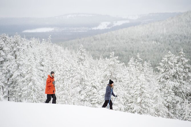 Premium Wilderness Skiing in Pyhä-Luosto National Park - Starting at Camp Kitchen & Bar at 10:00 am