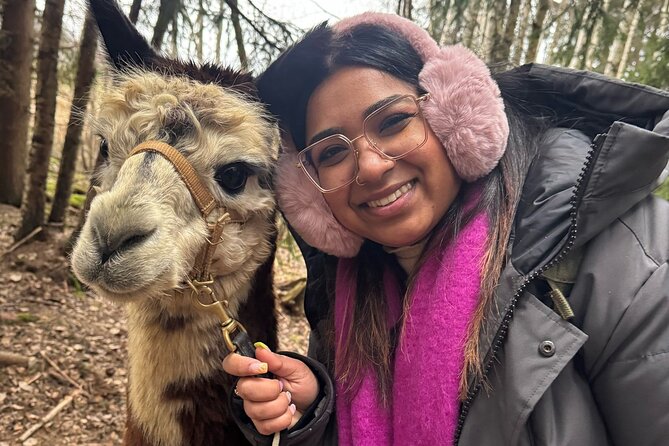 PRIVATE Alpaca Guided Forest Walk + Feeding Helsinki - A private outing that works for families
