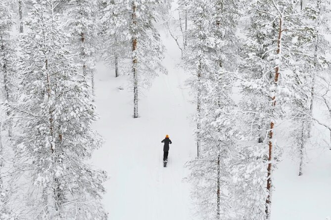 Private Driving Snow Scooters Experience in Finland - Clear instruction before the forest route