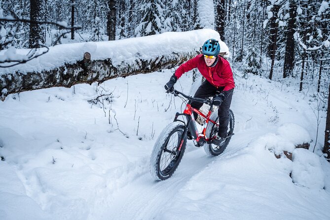 Private Electric Fat Bike Winter Tour in Rovaniemi - Why this ride is different from a city tour