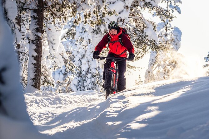 Private Electric Fat Bike Winter Tour in Rovaniemi - Ounasvaara’s snowy trails and quiet forest