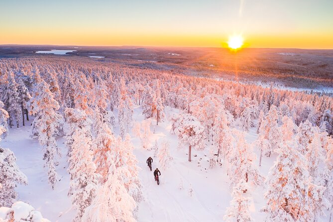Private Electric Fat Bike Winter Tour in Rovaniemi - The downhill return to Roll Outdoors