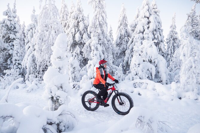 Private Electric Fat Bike Winter Tour in Rovaniemi - Crossing the Kemijoki by the Lumberjack’s Candle Bridge