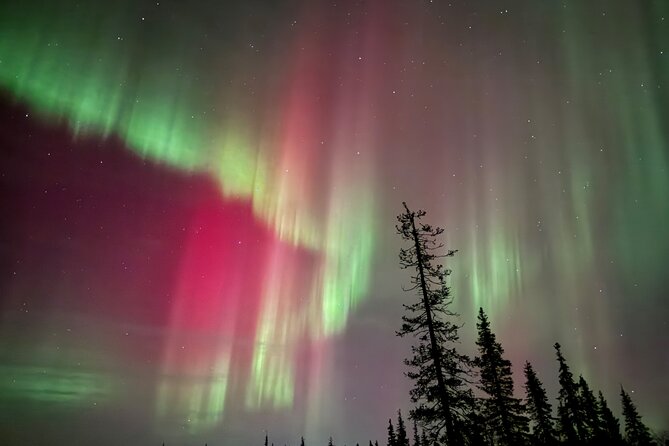 Private Group: Northern Lights Hunt 4x4 SUV with Aurora guarantee - Why the private format matters
