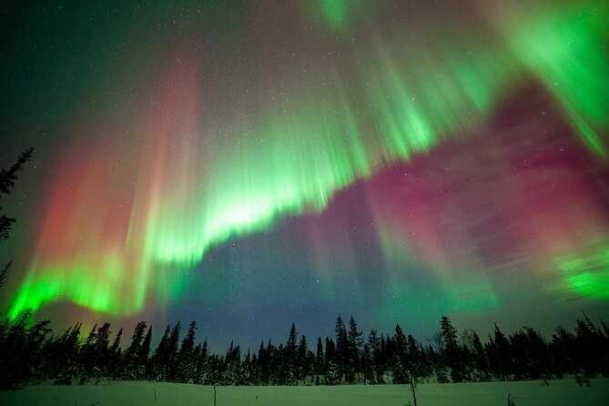 Private Group: Northern Lights Hunt 4x4 SUV with Aurora guarantee - The aurora guarantee needs careful reading