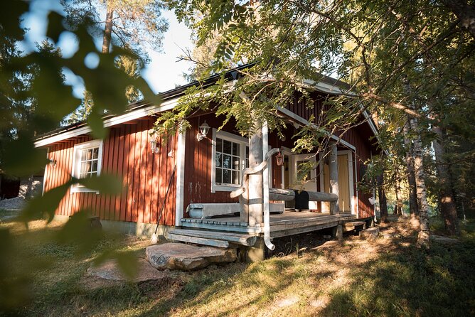 Private Lappish evening in the wilderness with traditional sauna and dinner - Salmon, vegetables, cookies, and glögi by the fire
