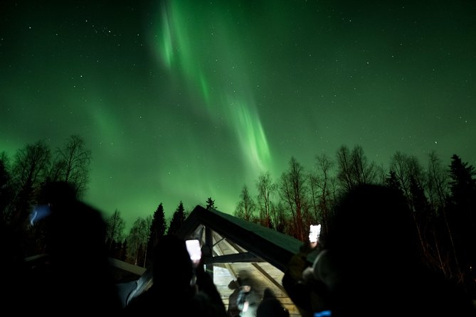 Private Northern Lights Hunting Expedition - Is $216.74 Per Person Good Value?