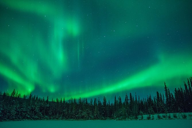 Private Northern Lights Hunting Tour Rovaniemi - Driving beyond the city lights
