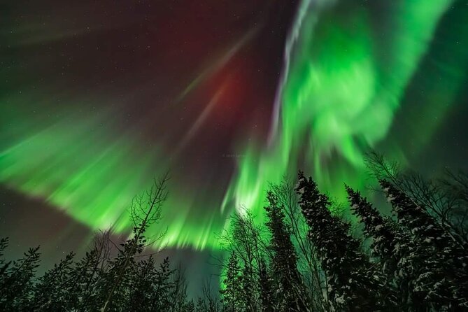 Private Northern Lights Hunting Tour Rovaniemi - How the Aurora search works