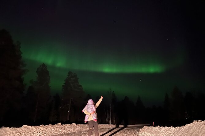 Private Northern Lights Hunting Tour Rovaniemi - Is $192.25 per person a fair price?